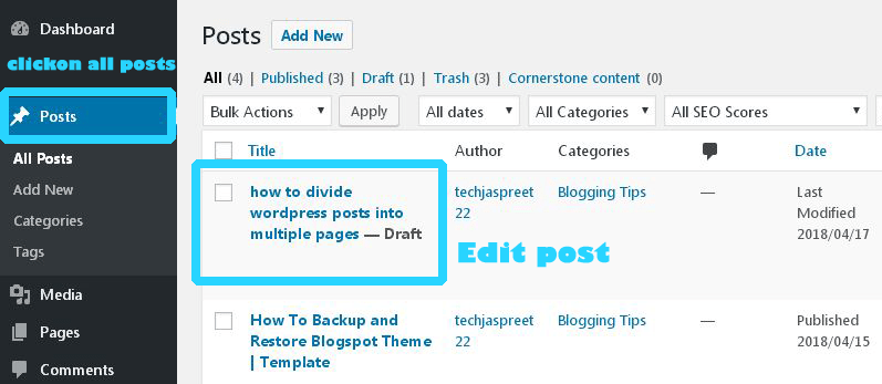 divide your WordPress blog posts into multiple pages